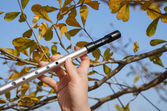 Irish-Tin-Whistle-Sondery-C-D-Keys-in-Gold-and-Silver Sondery Music