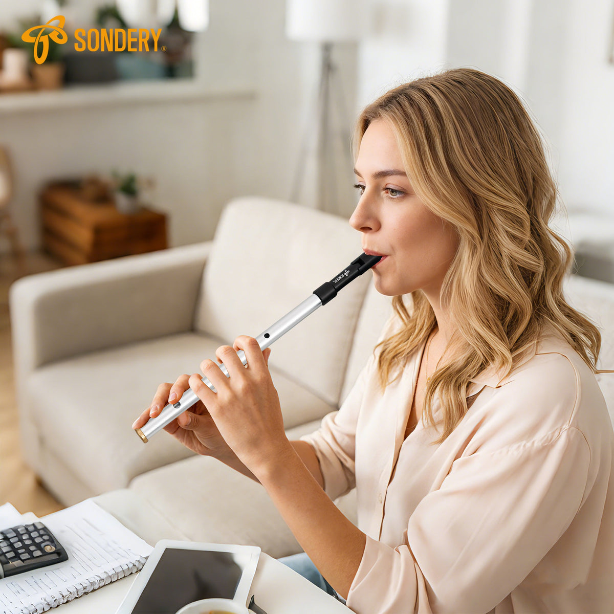 Sondery Irish Tin Whistles Set Key of C and Key of D Made from Aluminum Clear Bright Sound with Crisp Response of Wide Range Octaves Penny Whistles Sondery Music
