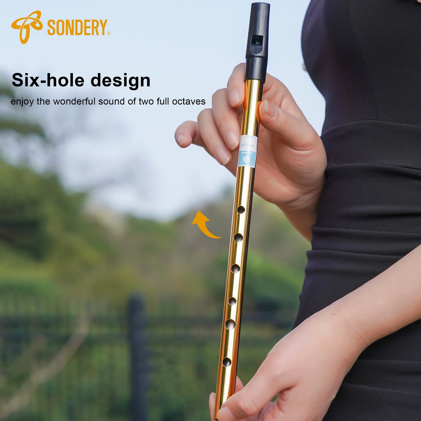 Sondery Irish Tin Whistle Key of D Made from Brass A Bright Brass Wind Type Sound Penny Whistle Sondery Music