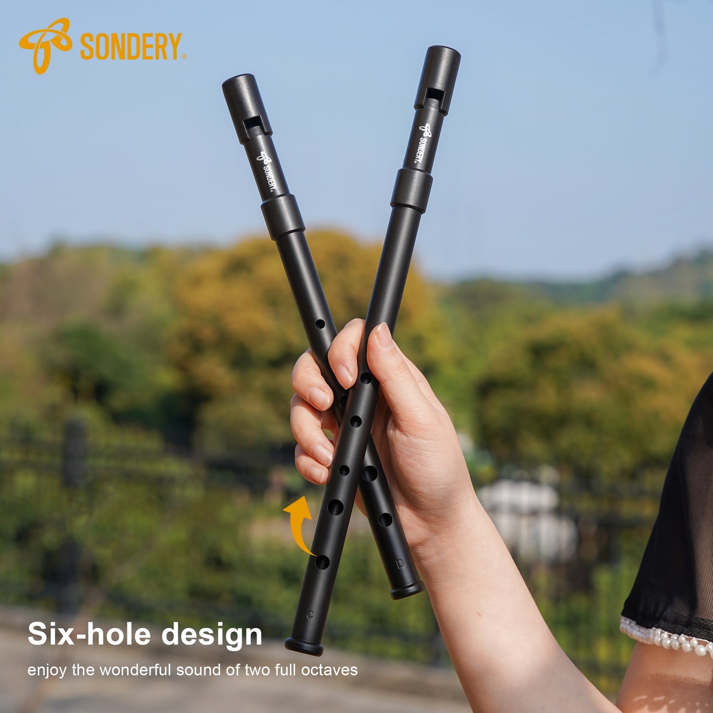 Sondery Irish Tin Whistle Set Key of C and Key of D Made from Hign Quality ABS with Sound of Wood in Nature Penny Whistle Sondery Music