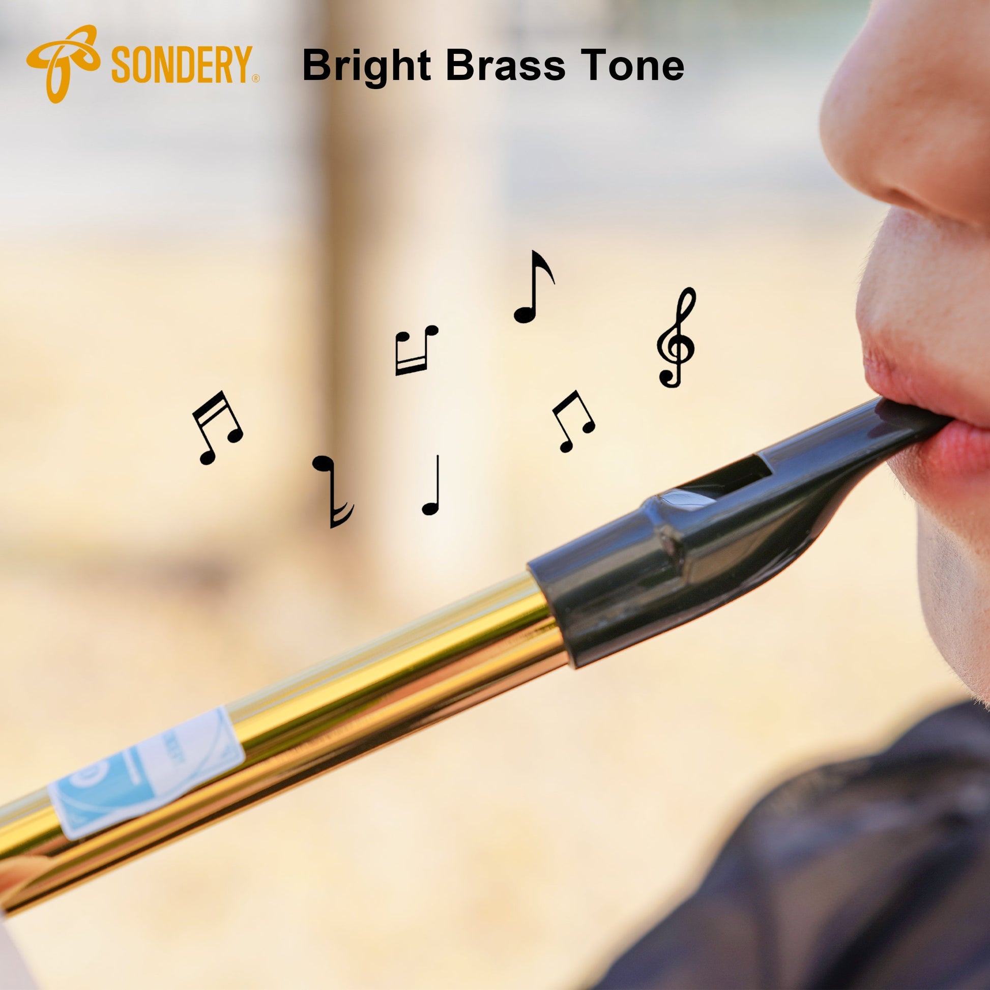 Sondery Irish Tin Whistle Key of D Made from Brass A Bright Brass Wind Type Sound Penny Whistle Sondery Music