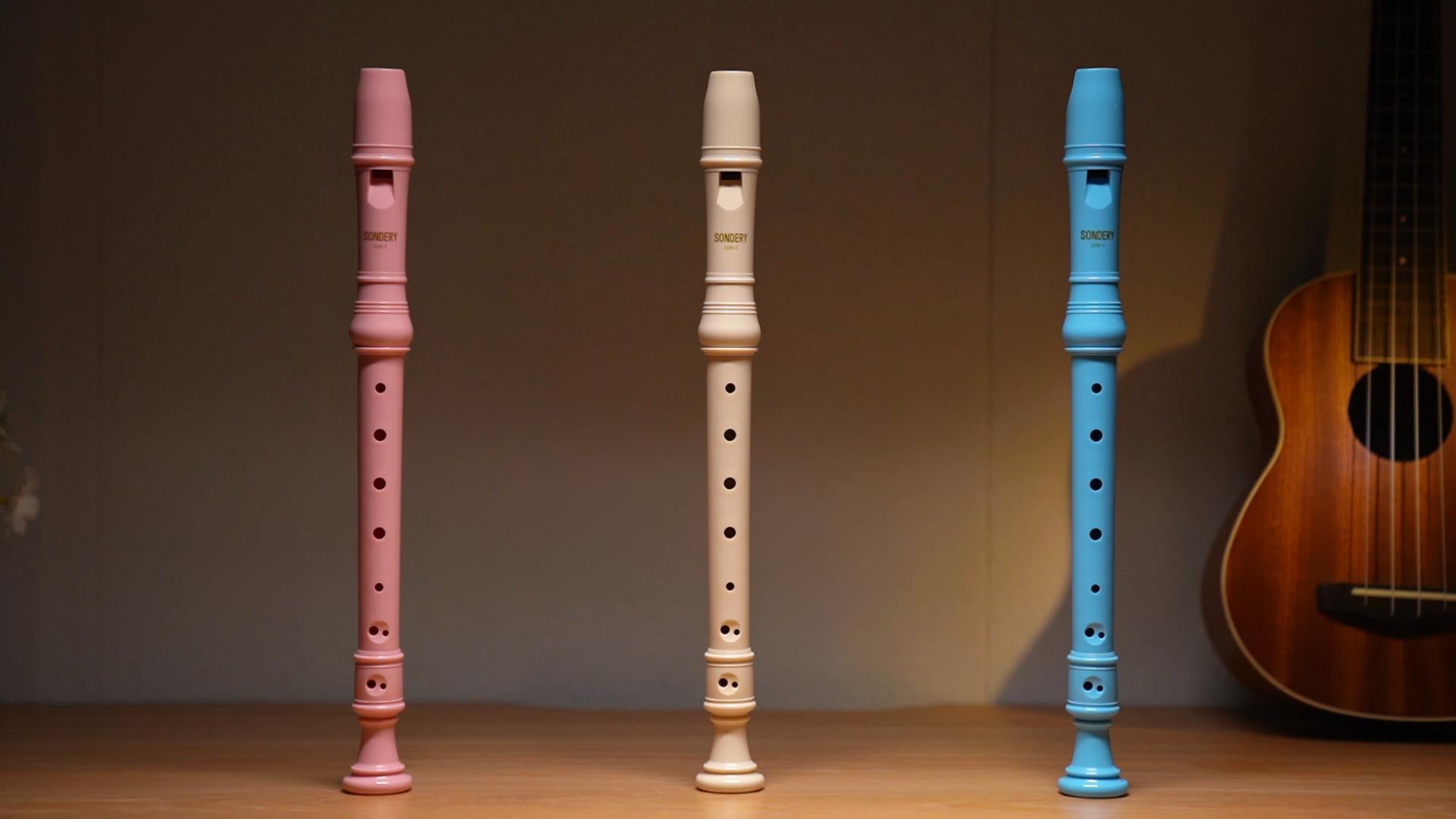 Sondery German Soprano Recorder Instrument Pink for Kids & Adults Easy-to-Play Plastic Body German Fingering Includes Fingering Chart Carry Pouch Sondery Music