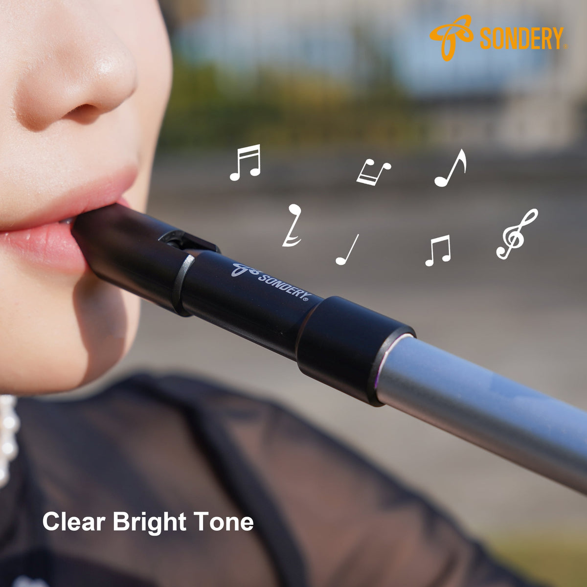 Sondery Irish Tin Whistles Set Key of C and Key of D Made from Aluminum Clear Bright Sound with Crisp Response of Wide Range Octaves Penny Whistles Sondery Music